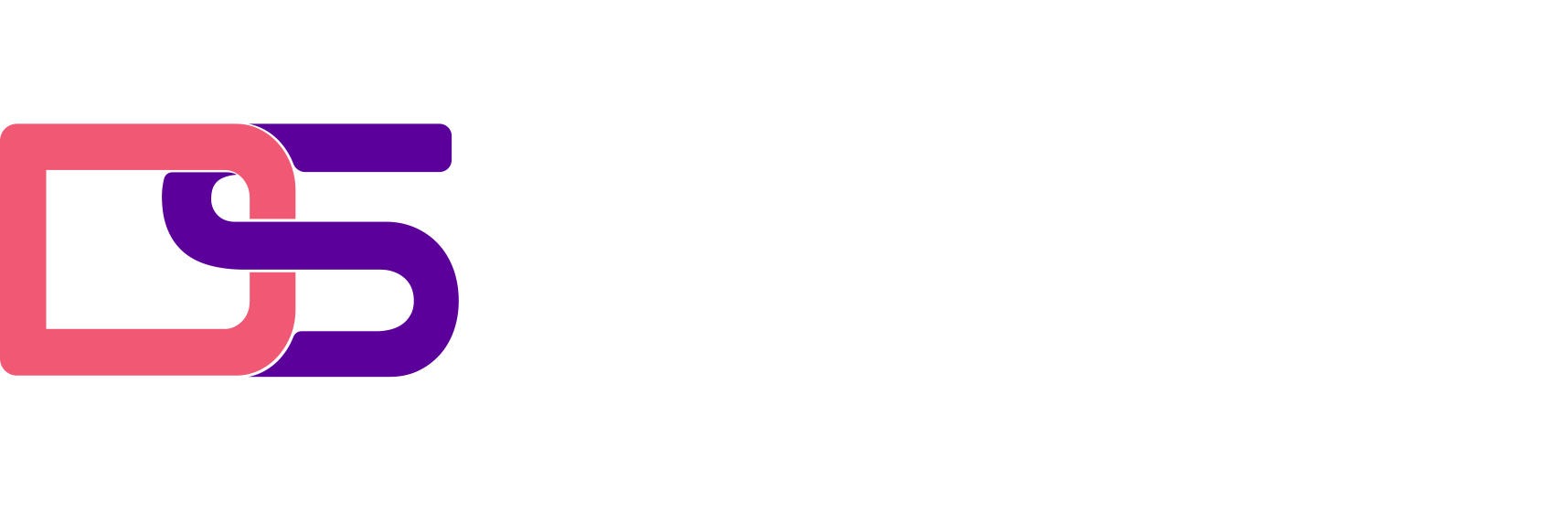 DiziSavvy Solutions